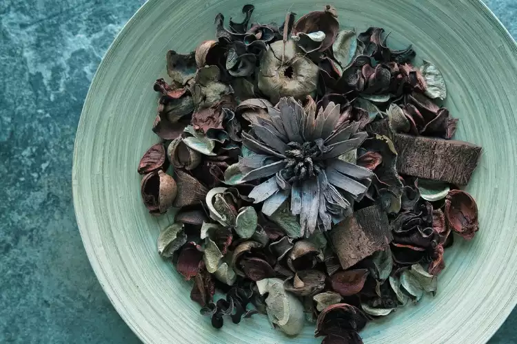 pot-pourri-fleurs-séchées