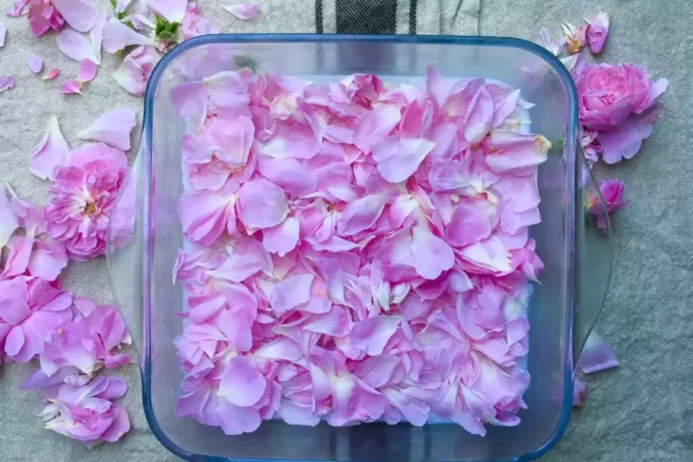 L’art de l’enfleurage du parfum