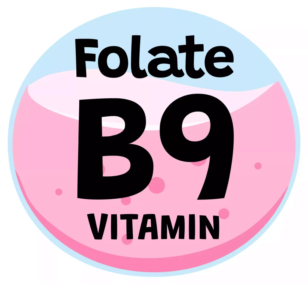 Quelles sont les principales sources alimentaires de vitamine B9 ?